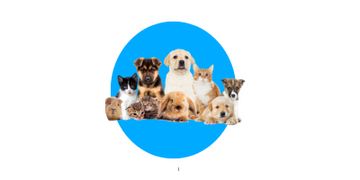 PETS